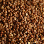 Buckwheat