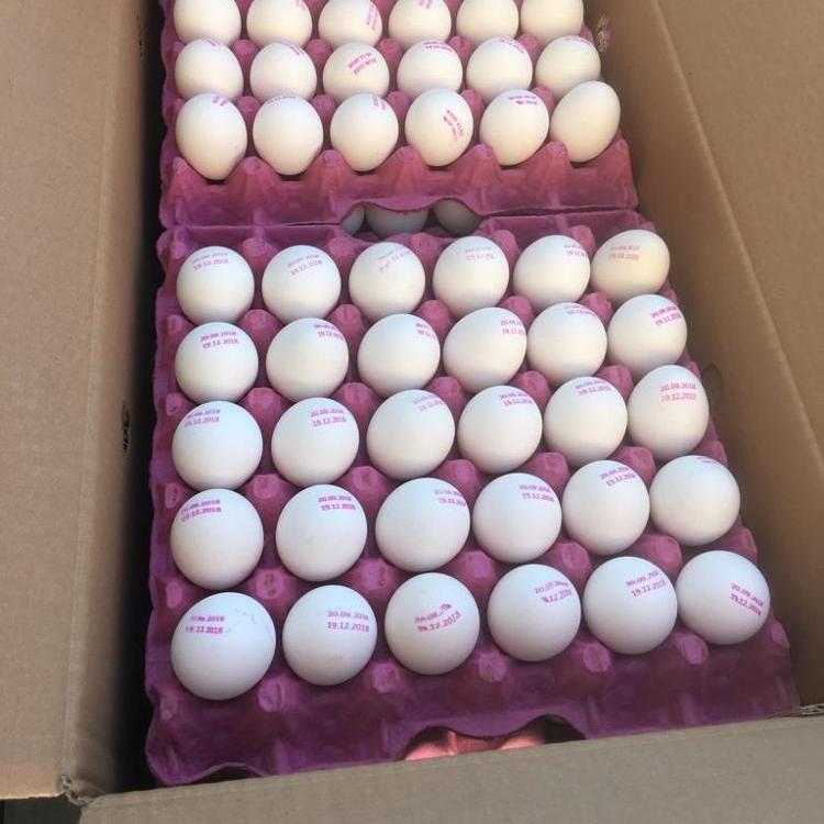 UTB8BN_mv_zIXKJkSafVxh5WgXXag