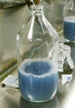 horseshoe crab blood