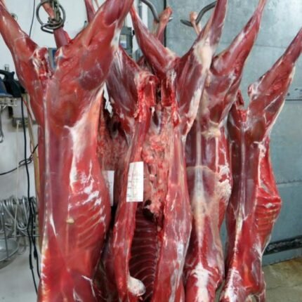 Beef Meat